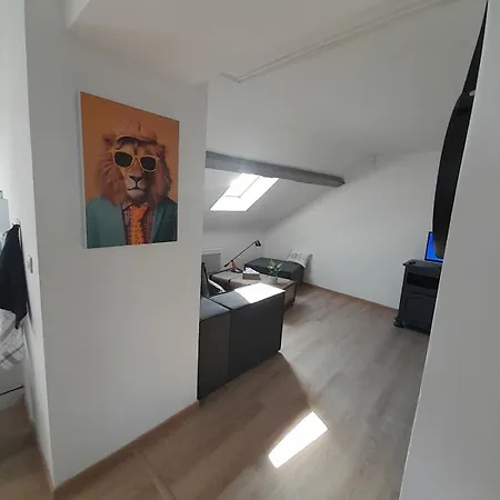 Apaartement Pres Du Stade Du Hainaut Apartment